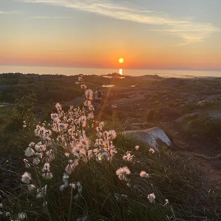 Sjoglott Lofoten- Modern By The Sea Ballstad